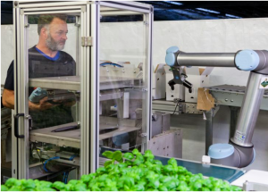 顯揚科技亮相央視直播間