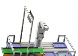 顯揚(yáng)科技亮相央視直播間