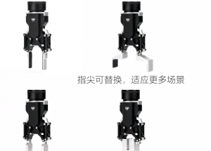 顯揚科技亮相央視直播間