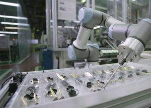 顯揚(yáng)科技亮相央視直播間